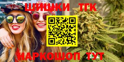 мдпв Кингисепп