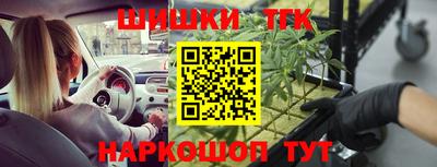 мдпв Кингисепп