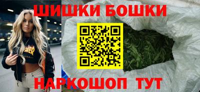 мдпв Кингисепп