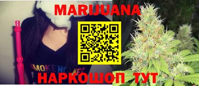 мдпв Кингисепп