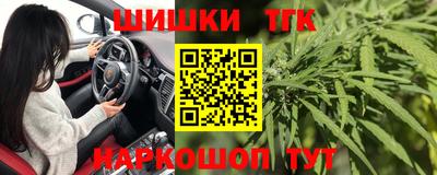мдпв Кингисепп