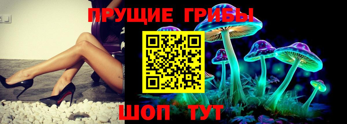 Псилоцибиновые грибы прущие грибы  Вход с VPN  Холмск 